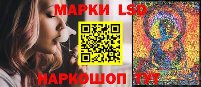 mdpv Новодвинск
