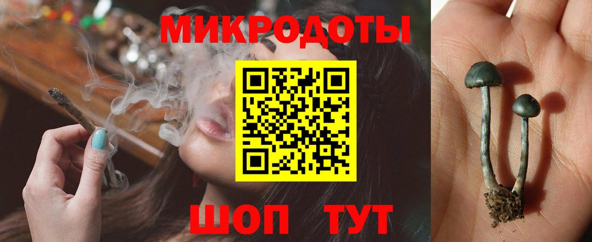 Псилоцибиновые грибы прущие грибы Славгород